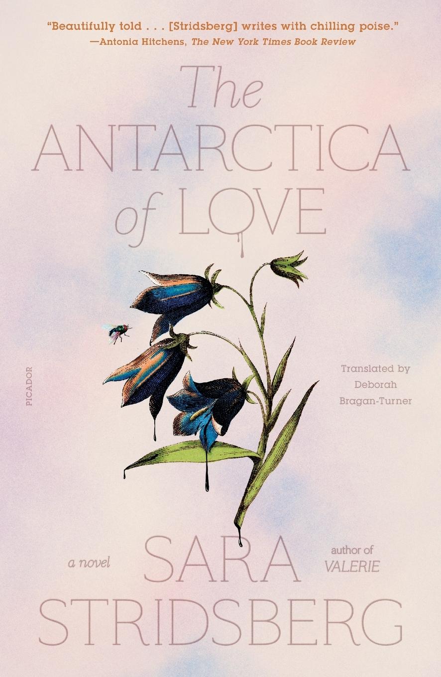 Cover: 9781250858740 | Antarctica of Love | Sara Stridsberg | Taschenbuch | Englisch | 2023