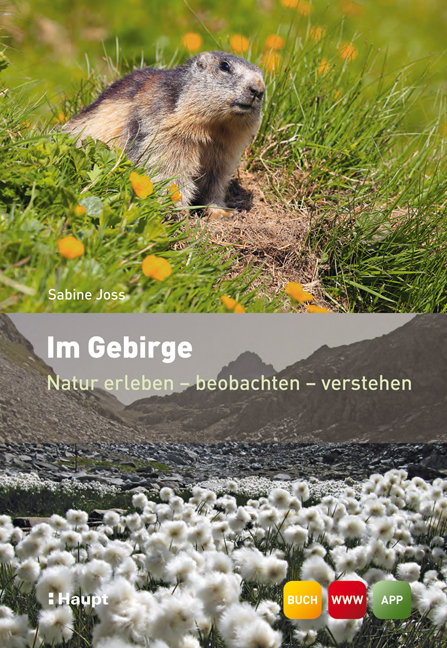 Cover: 9783258076744 | Im Gebirge | Natur erleben - beobachten - verstehen | Sabine Joss