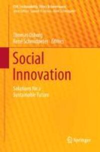 Cover: 9783642365393 | Social Innovation | Solutions for a Sustainable Future | Buch | XIX
