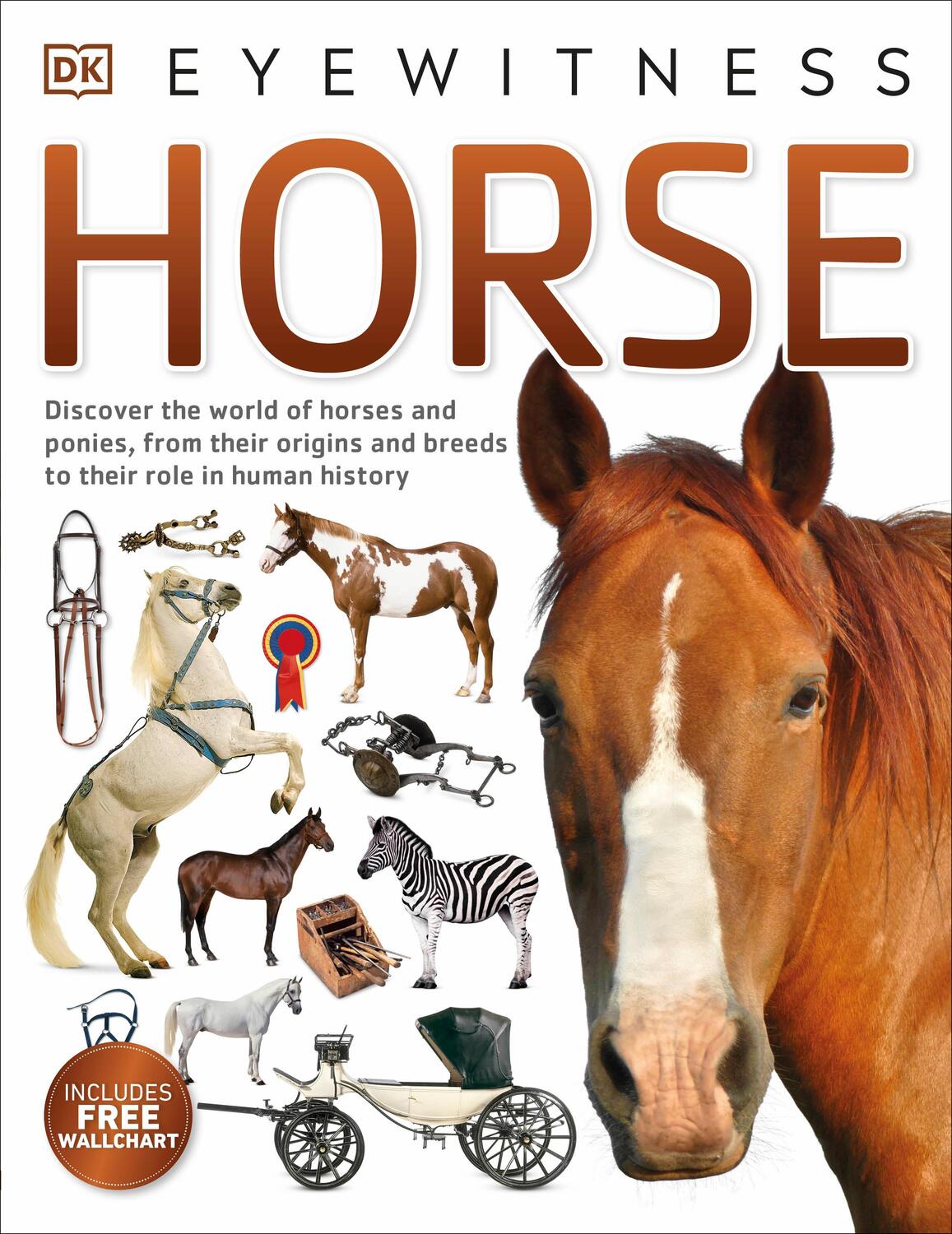 Cover: 9780241258859 | Horse | DK | Taschenbuch | DK Eyewitness | Englisch | 2016