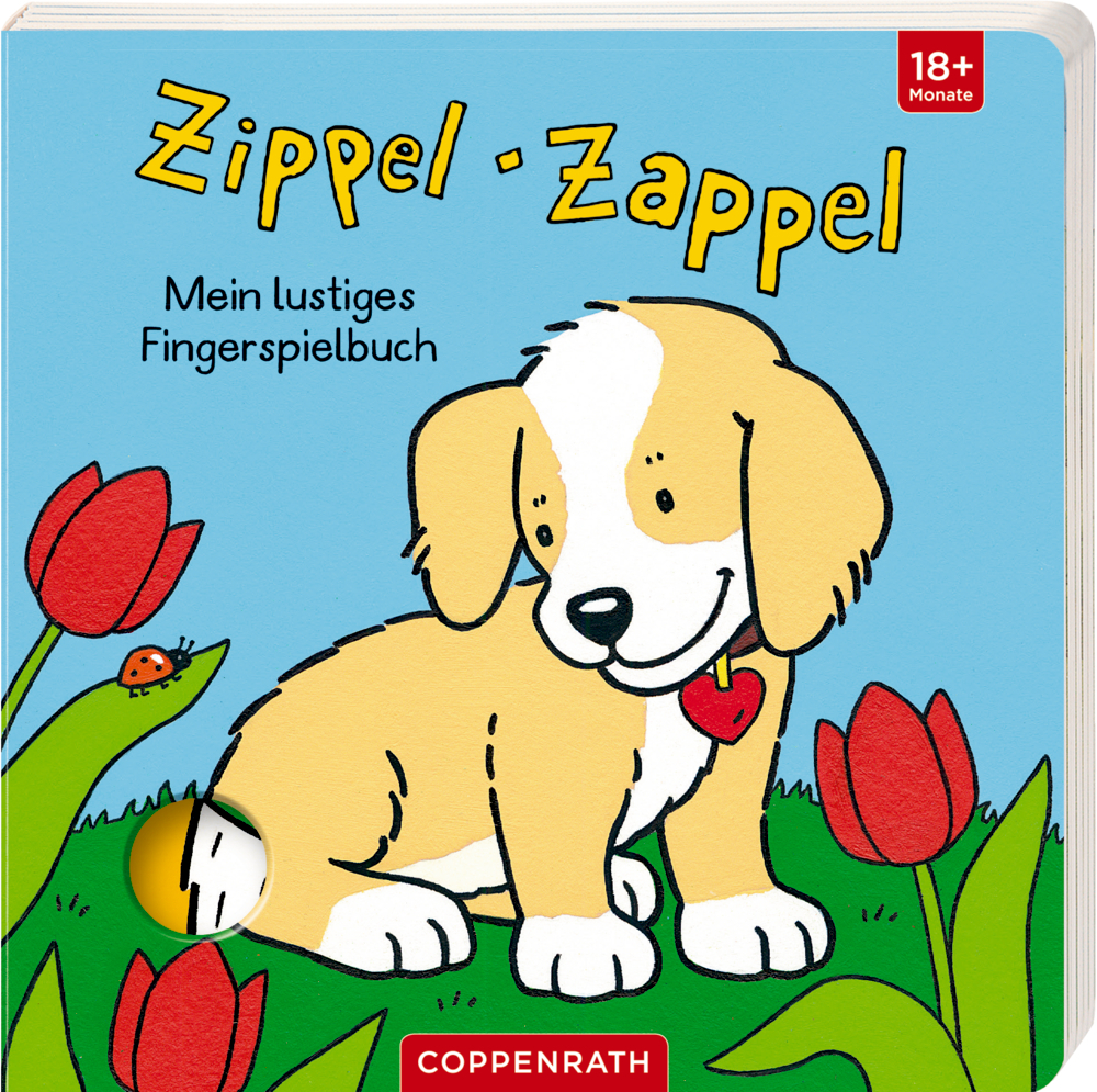 Cover: 9783649638971 | Zippel-Zappel | Mein lustiges Fingerspielbuch | Sybille Brauer | Buch