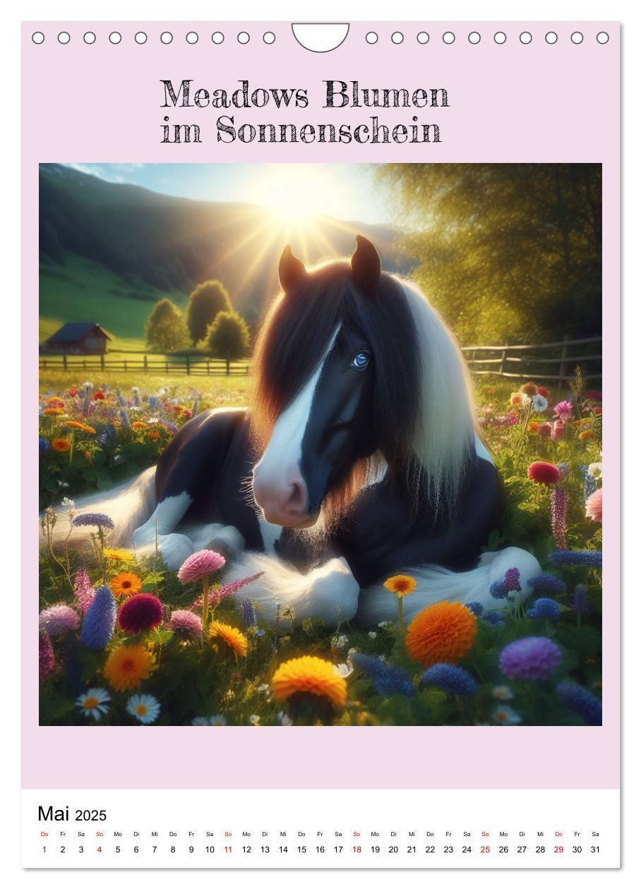 Bild: 9783435842780 | Tinker Ponys - Magische Momente, Gypsy Vanner für Mädchen...