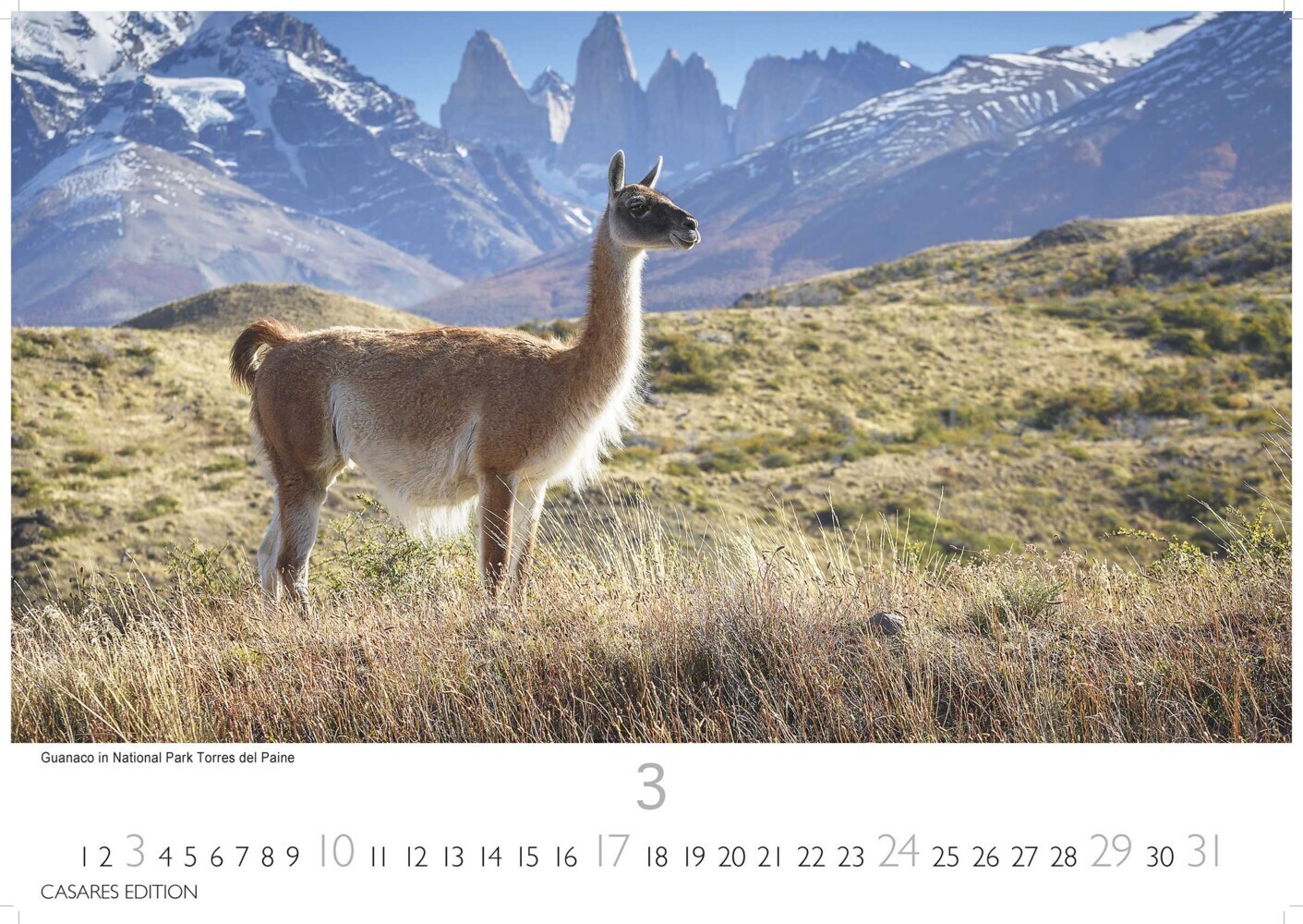 Bild: 9789918621064 | Chile 2024 L 35x50cm | Kalender | 14 S. | Deutsch | 2024