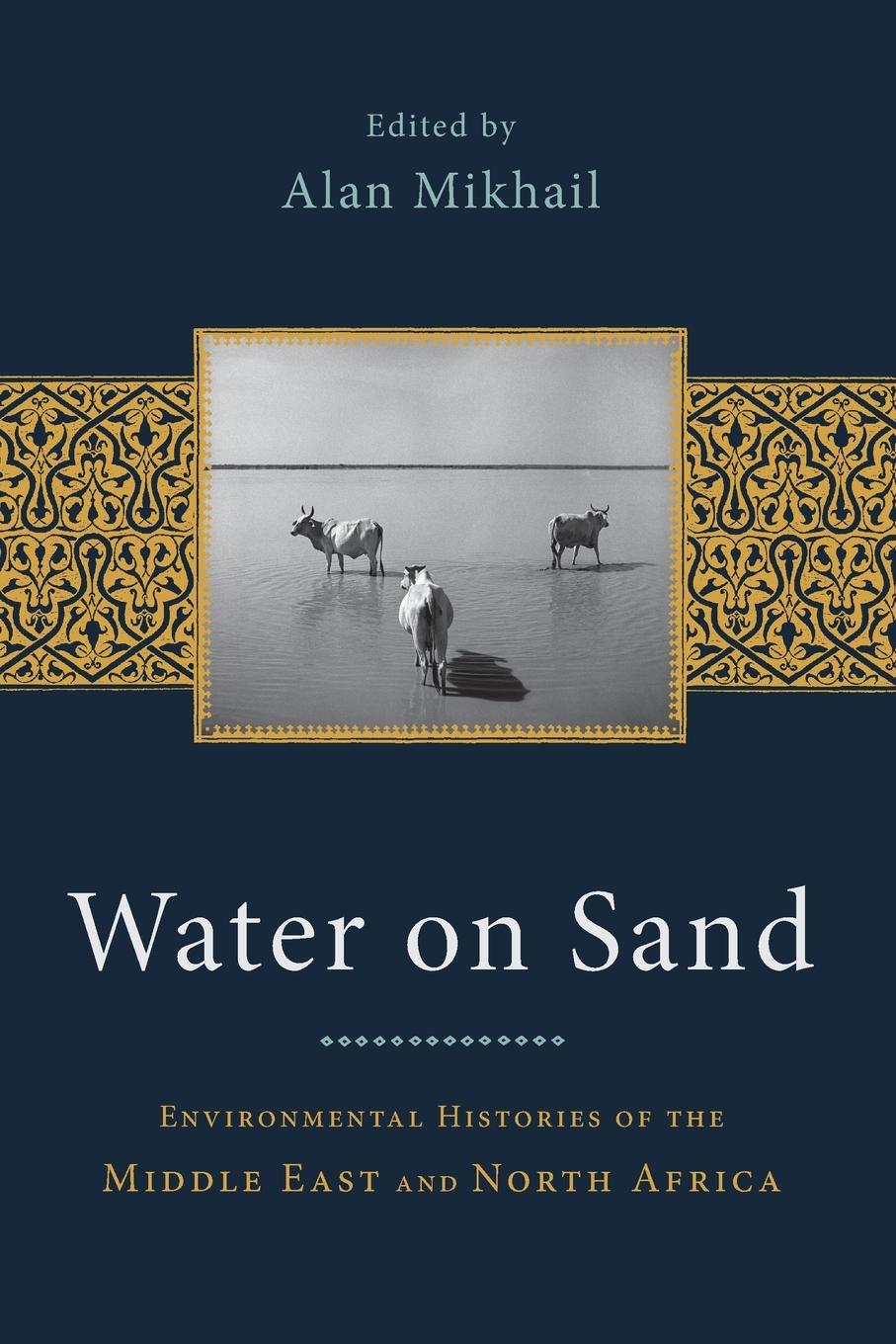 Cover: 9780199768660 | Water on Sand | Alan Mikhail | Taschenbuch | Kartoniert / Broschiert