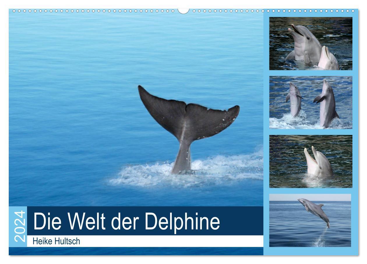 Cover: 9783383235610 | Die Welt der Delphine (Wandkalender 2024 DIN A2 quer), CALVENDO...