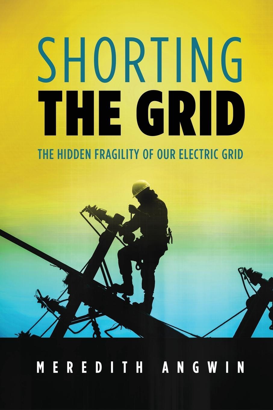 Cover: 9781735358000 | Shorting the Grid | The Hidden Fragility of Our Electric Grid | Angwin