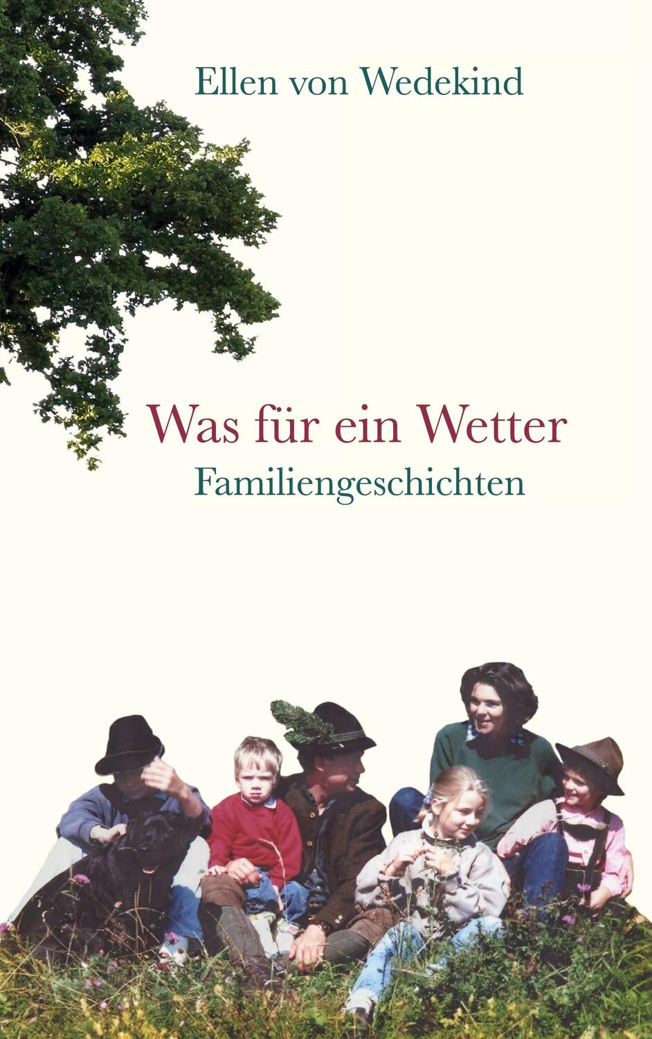 Cover: 9783756804399 | Was für ein Wetter | Familiengeschichten | Ellen von Wedekind | Buch