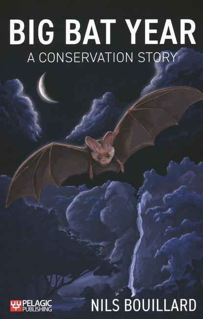 Cover: 9781784273101 | Big Bat Year | A Conservation Story | Nils Bouillard | Taschenbuch