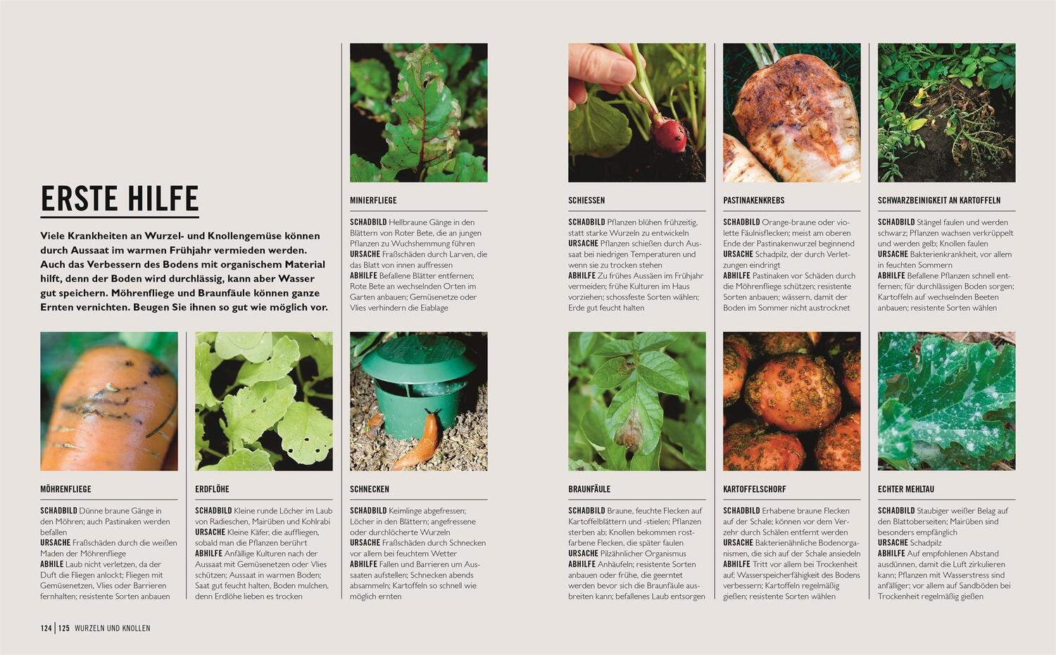 Bild: 9783831043941 | Grünes Gartenwissen. Gemüse anbauen | Jo Whittingham | Taschenbuch