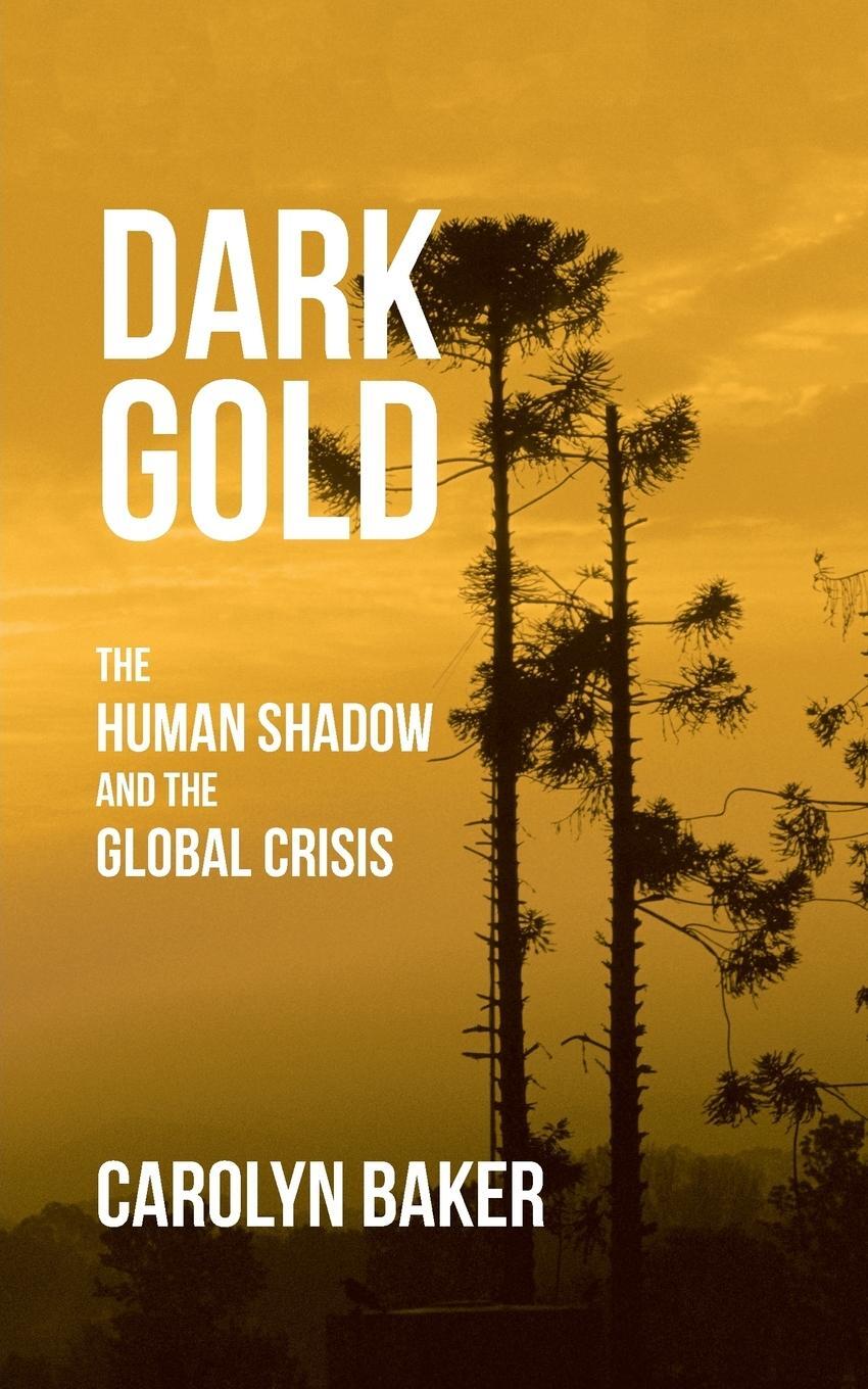 Cover: 9781532037658 | Dark Gold | The Human Shadow and the Global Crisis | Carolyn Baker