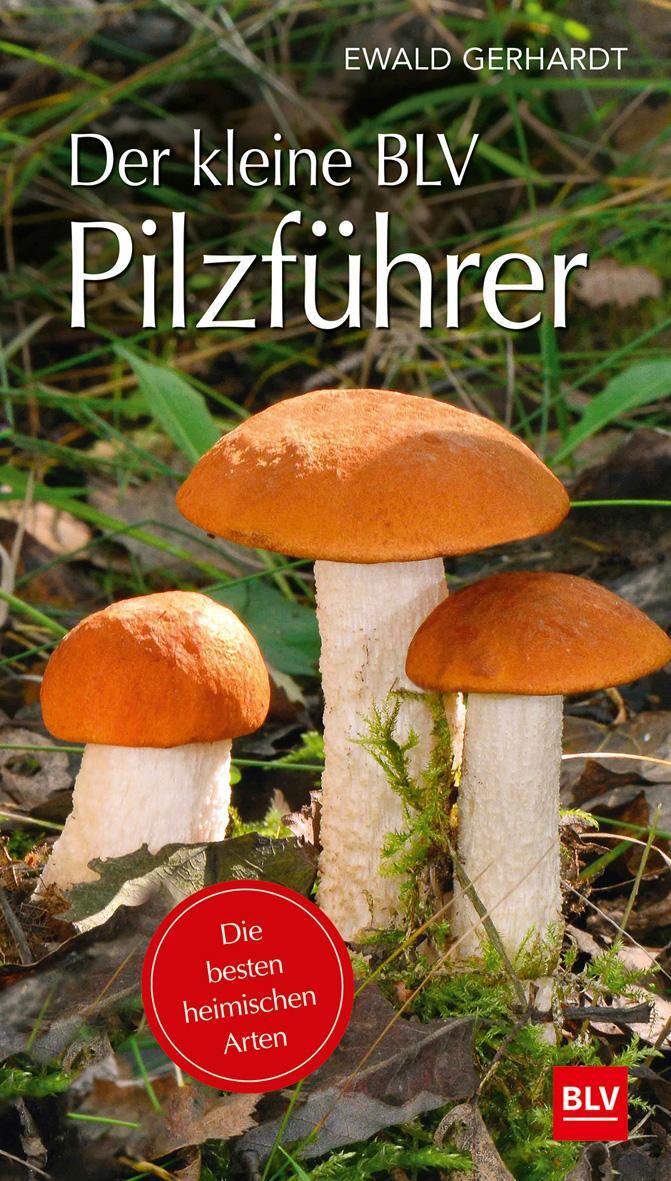 Cover: 9783835418448 | Der kleine BLV Pilzführer | Die besten heimischen Arten | Gerhardt