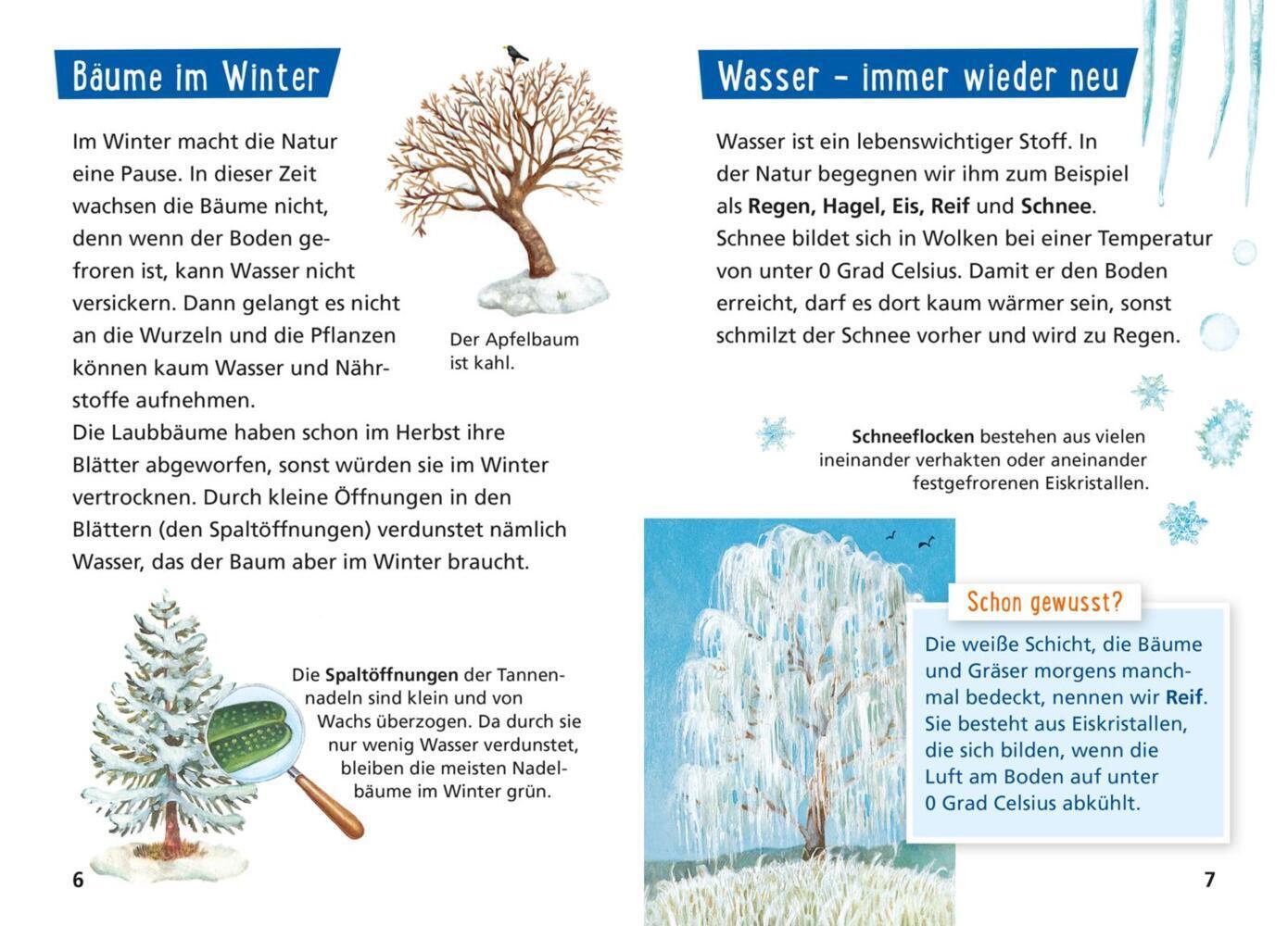 Bild: 9783551242075 | Pixi Wissen 49: Die Jahreszeiten | Monika Wittmann | Taschenbuch