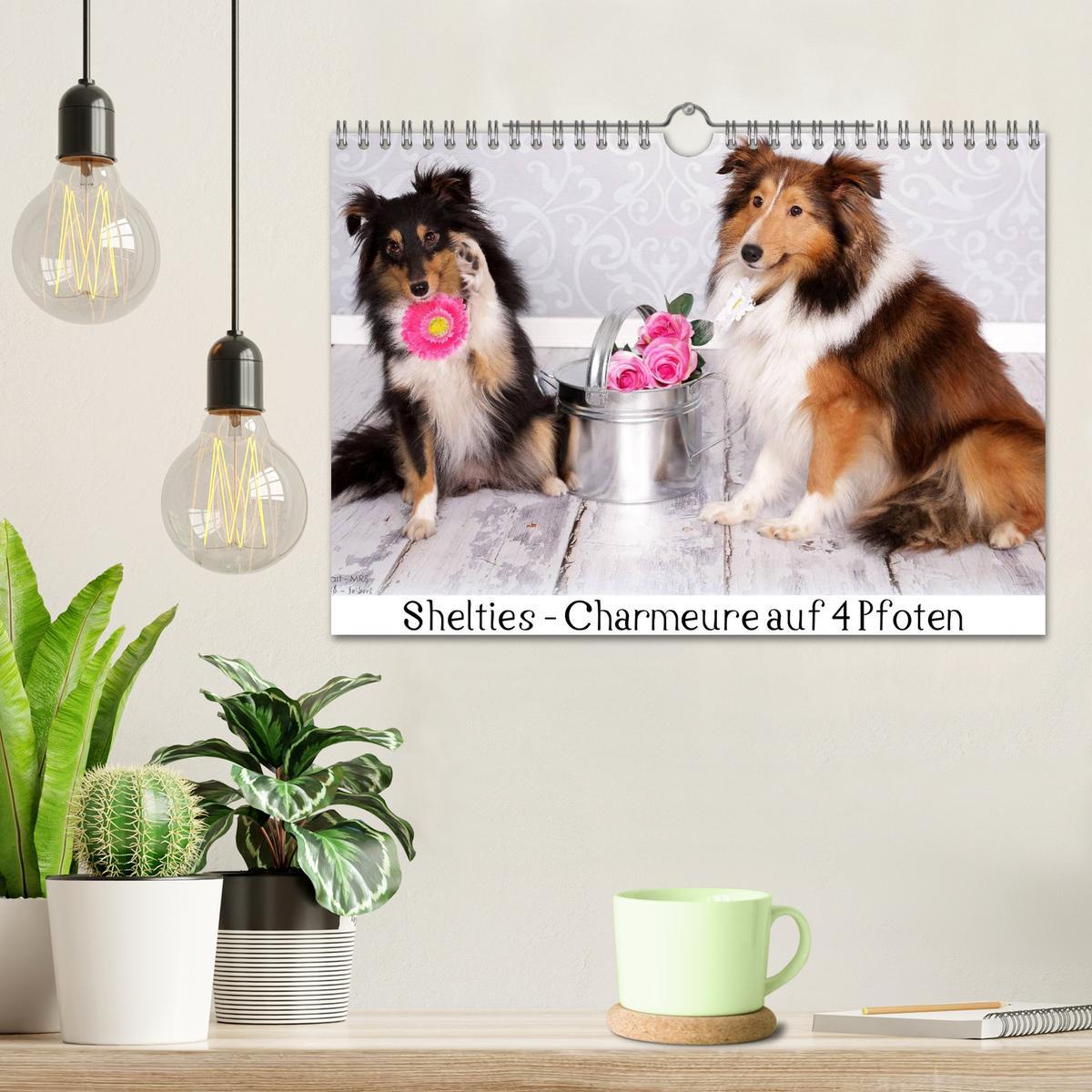 Bild: 9783435732166 | Shelties : Charmeure auf 4 Pfoten (Wandkalender 2025 DIN A4 quer),...