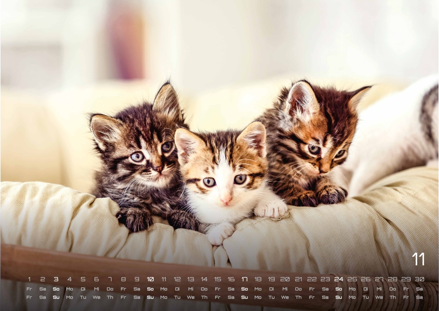Bild: 9783986732257 | Miau Kids - kleine Tiger ganz groß - Der Katzenkalender - 2024 -...