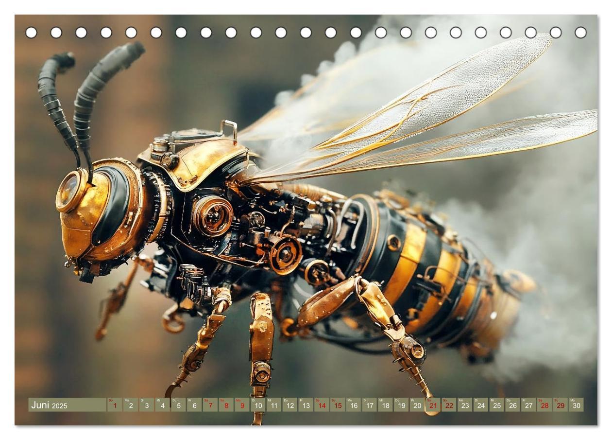 Bild: 9783457185841 | Die fantastische Welt der Steampunk-Insekten (Tischkalender 2025...