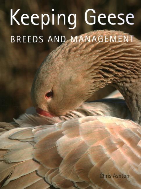 Cover: 9781847973368 | Keeping Geese | Breeds and Management | Chris Ashton | Taschenbuch