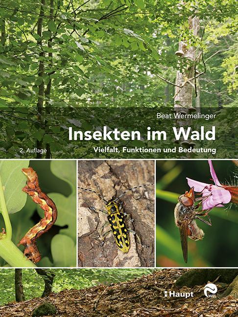 Cover: 9783258082172 | Insekten im Wald | Vielfalt, Funktionen und Bedeutung | Wermelinger