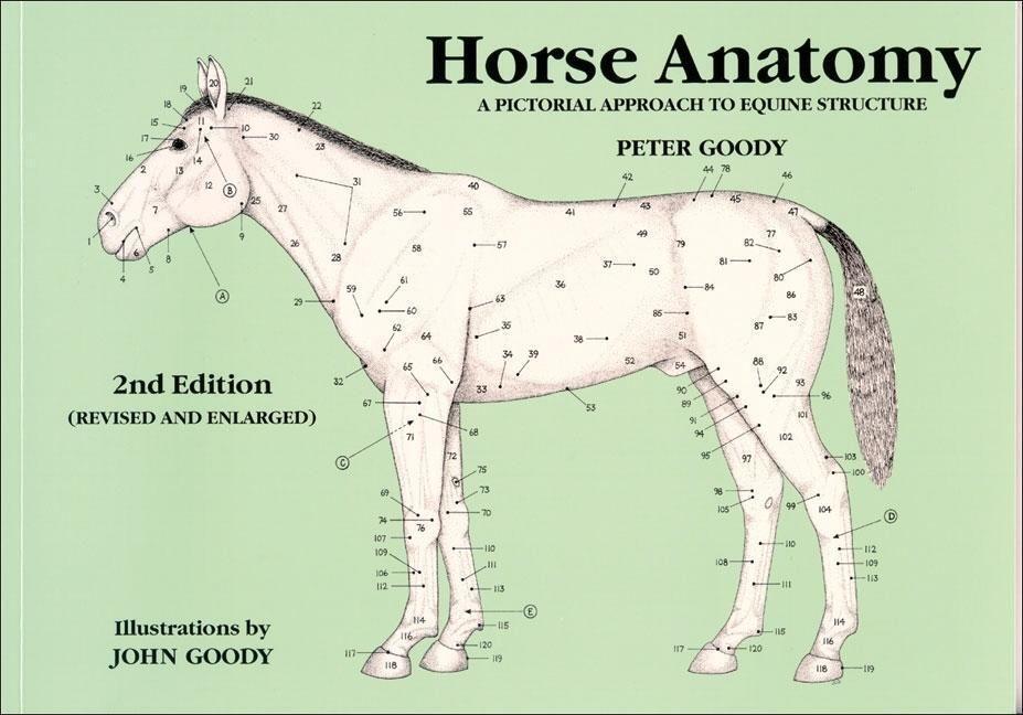 Cover: 9780851317694 | Horse Anatomy | A Pictorial Approach to Equine Structure | Peter Goody