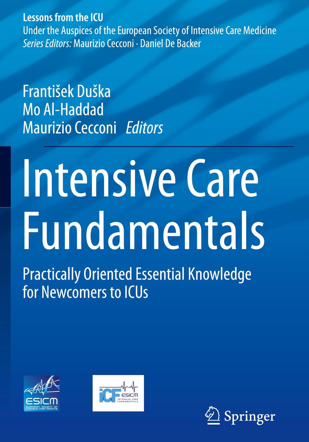 Cover: 9783031219931 | Intensive Care Fundamentals | Franti¿ek Du¿ka (u. a.) | Taschenbuch