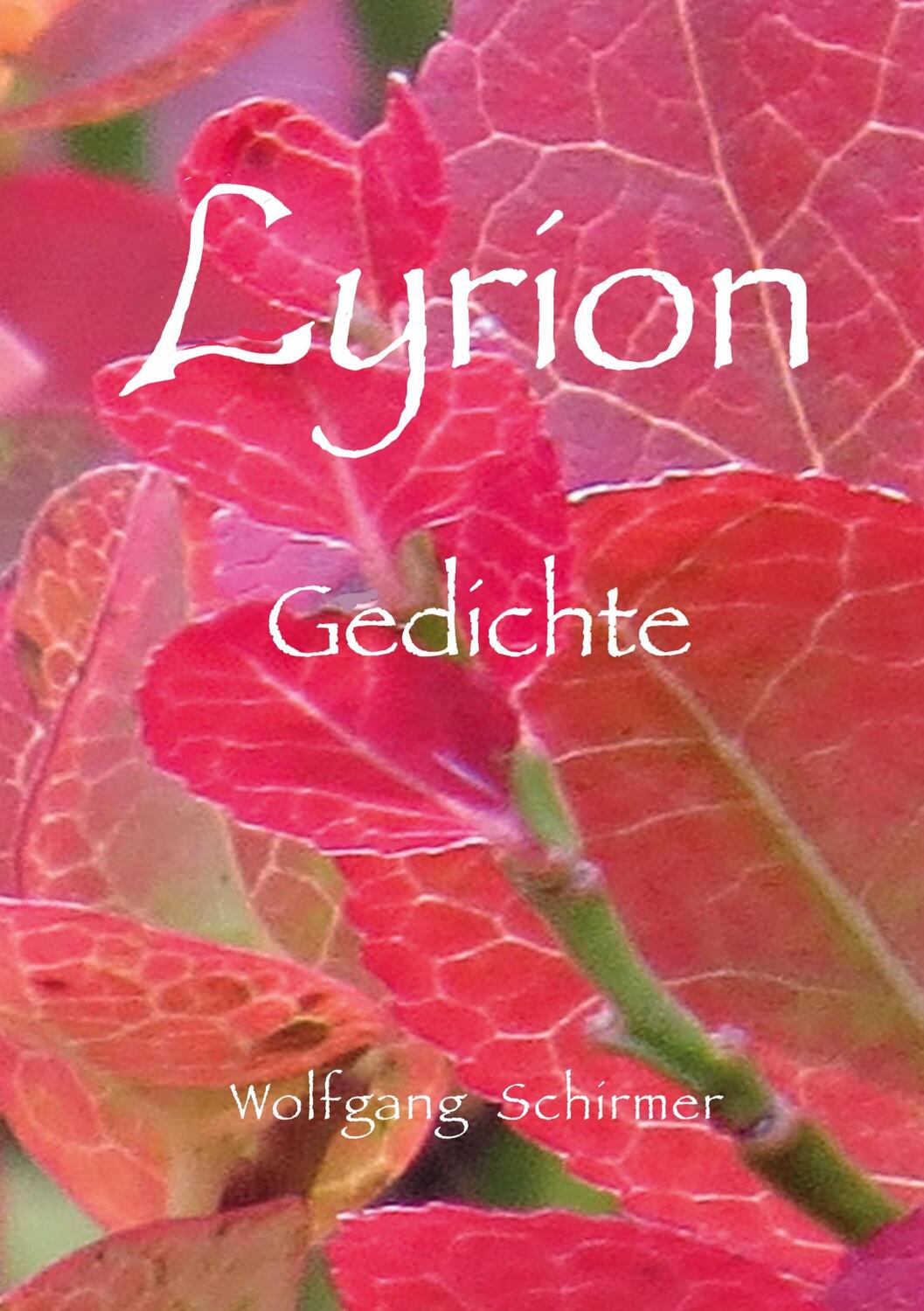 Cover: 9783347286214 | Lyrion | Wolfgang Schirmer | Buch | HC runder Rücken kaschiert | 2021