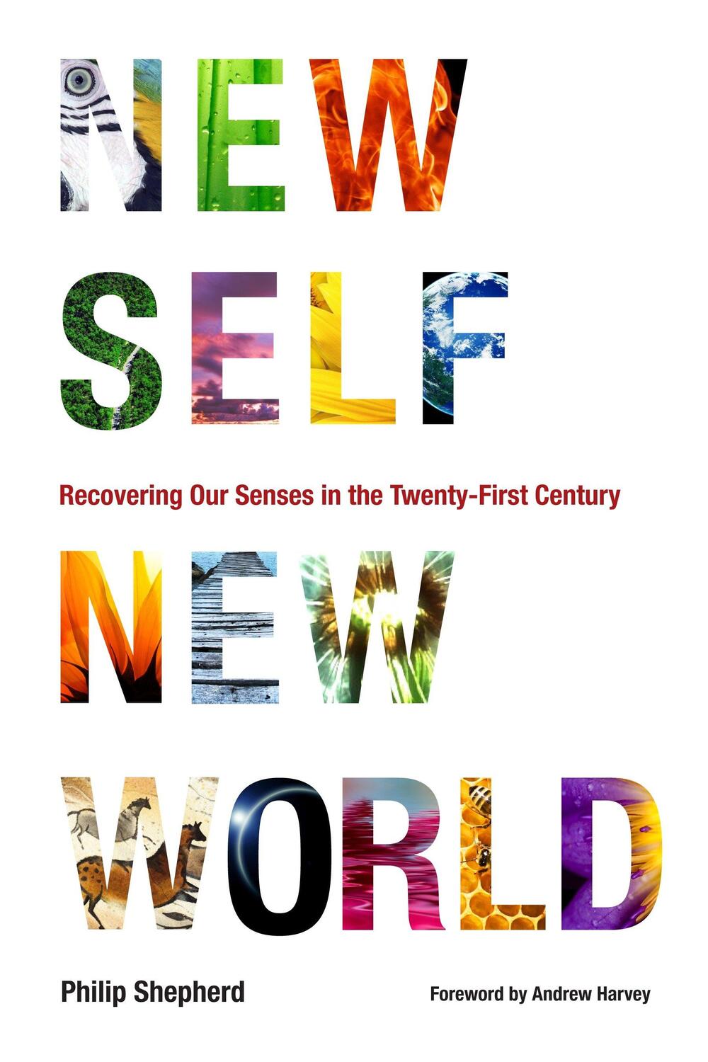 Cover: 9781556439117 | New Self, New World | Philip Shepherd | Taschenbuch | Englisch | 2010