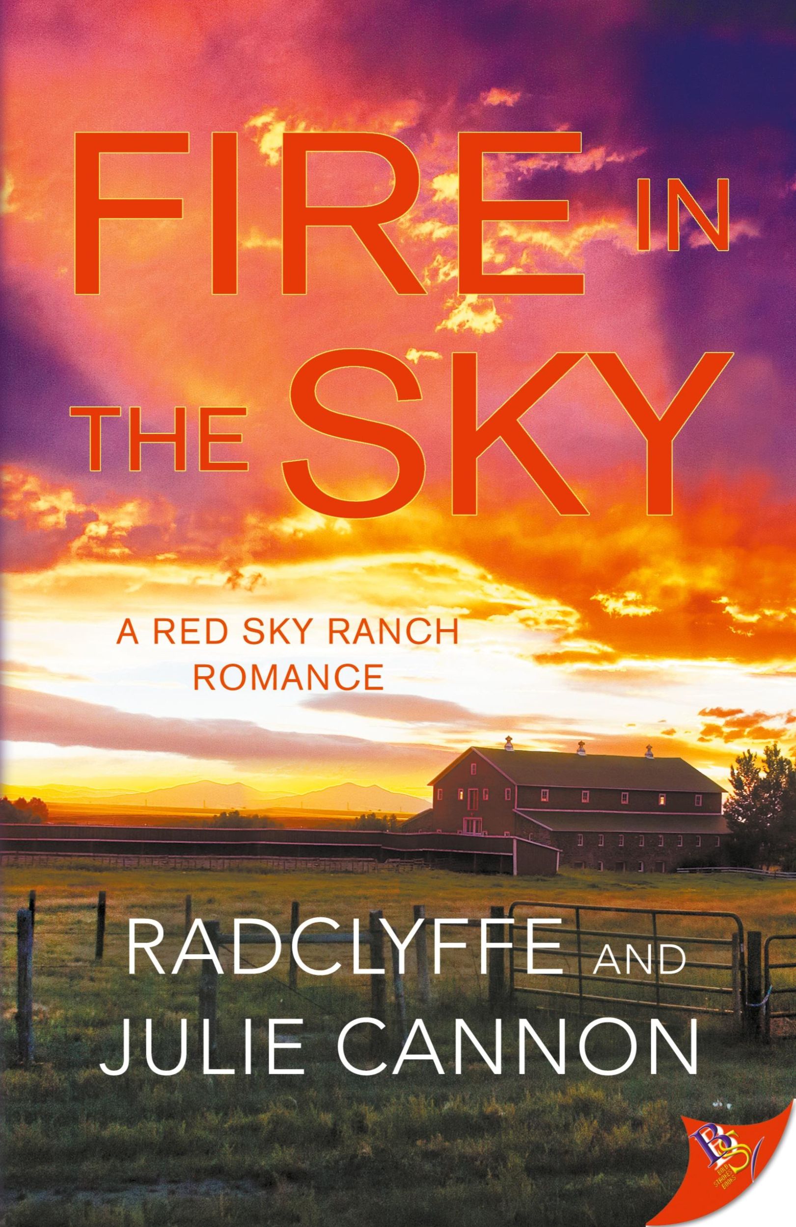 Cover: 9781636795737 | Fire in the Sky | Radclyffe | Taschenbuch | A Red Sky Ranch Romance