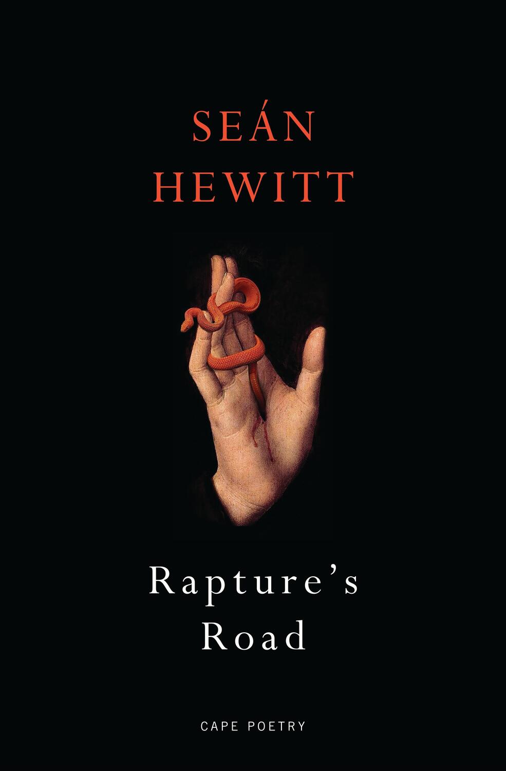 Cover: 9781787334274 | Rapture's Road | From the author of All Down Darkness Wide | Hewitt