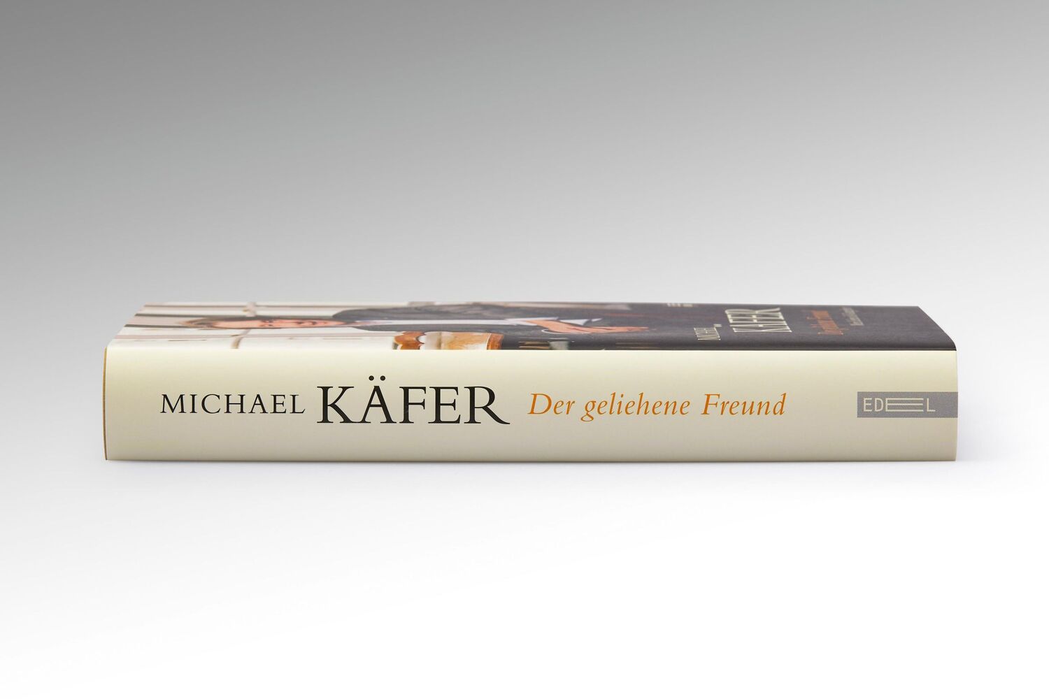 Bild: 9783841908179 | Der geliehene Freund | Mein Leben als Gastgeber | Michael Käfer | Buch