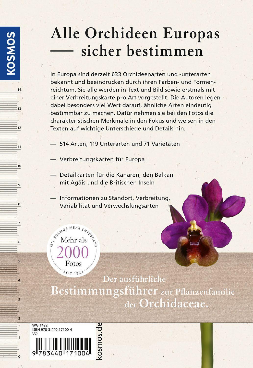 Bild: 9783440171004 | Orchideen Europas | Norbert Griebl (u. a.) | Taschenbuch | Deutsch