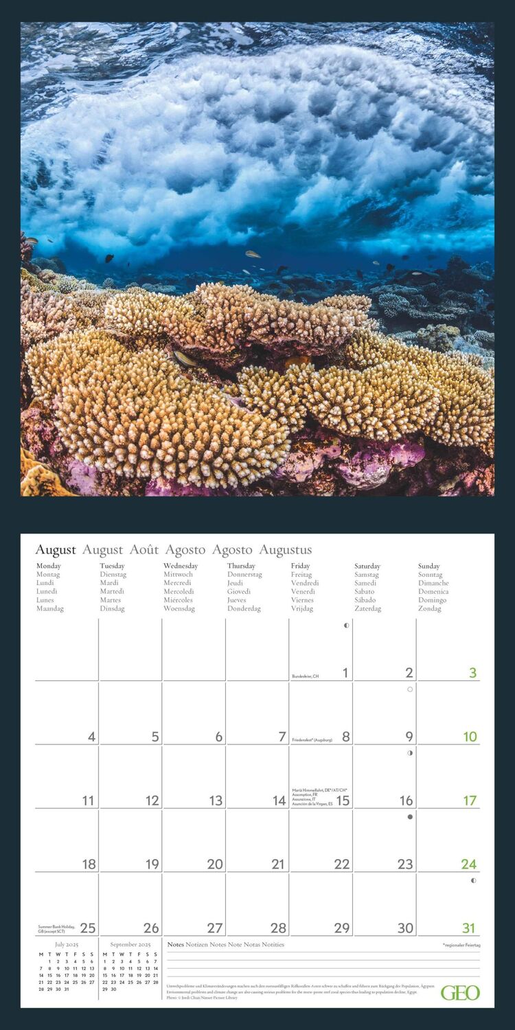 Bild: 4002725988621 | GEO Amazing Nature 2025 - Wand-Kalender - Broschüren-Kalender -...