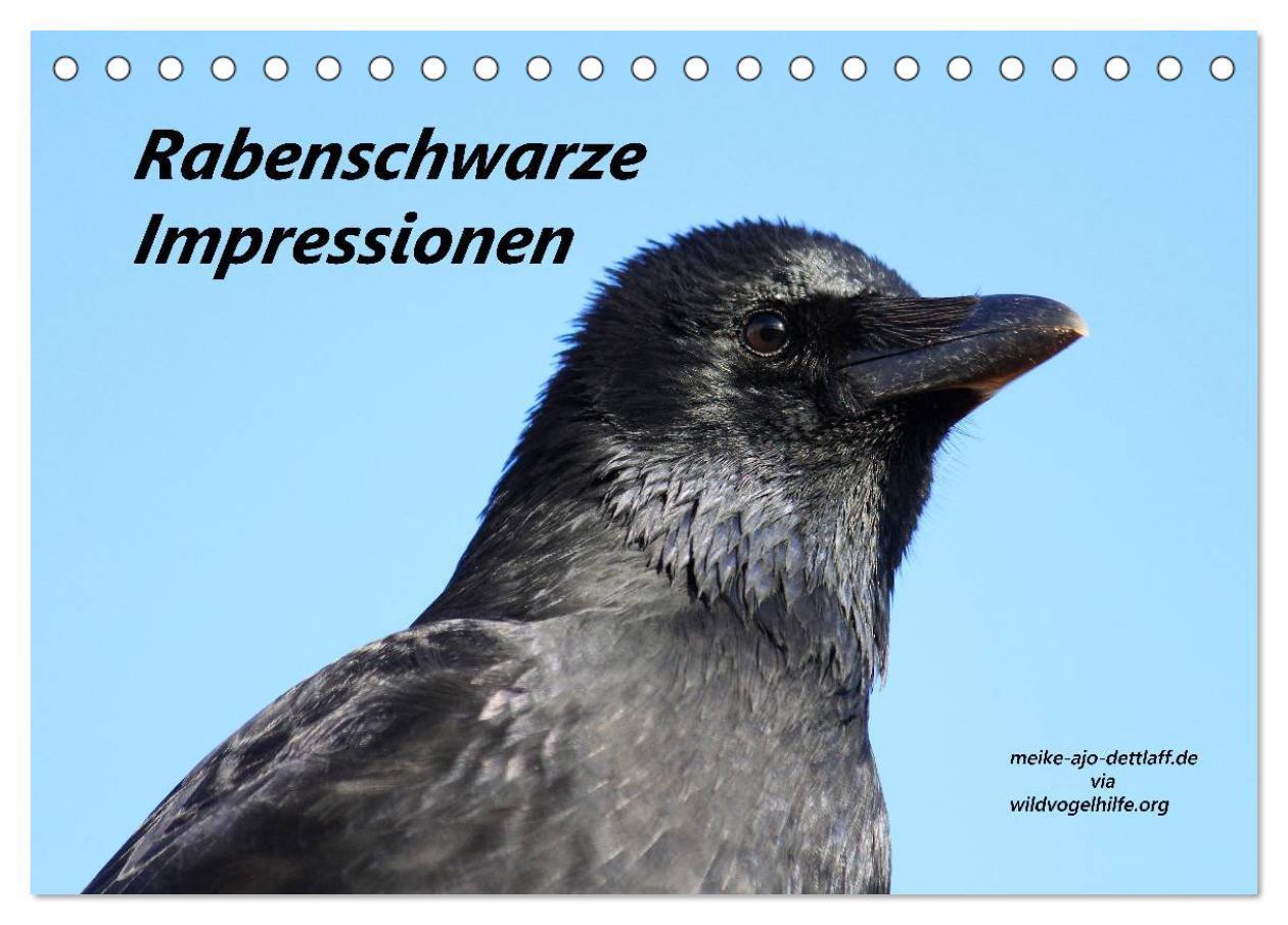 Cover: 9783383322259 | Rabenschwarze Impressionen - meike-ajo-dettlaff.de via...