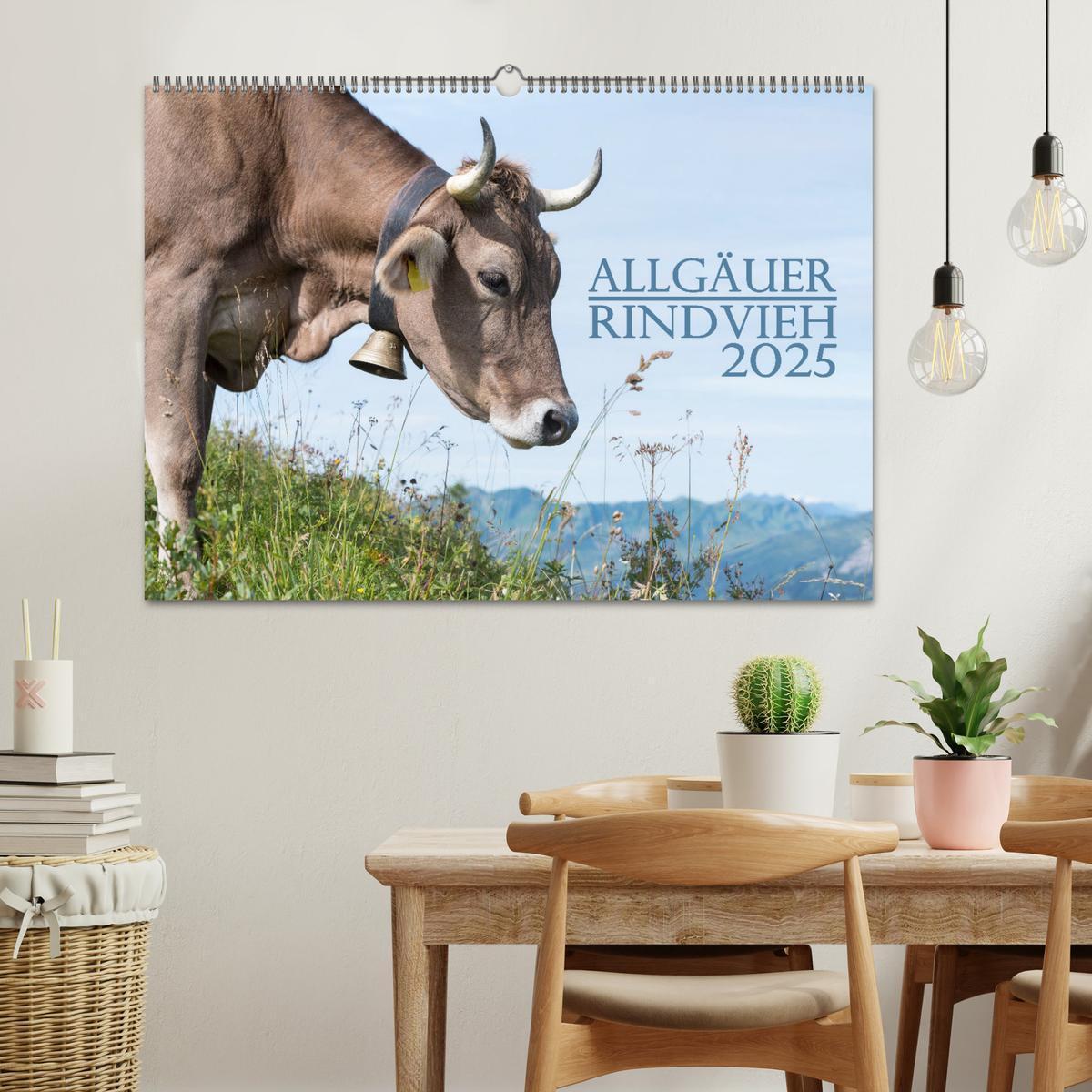 Bild: 9783383832147 | Allgäuer Rindvieh 2025 (Wandkalender 2025 DIN A2 quer), CALVENDO...