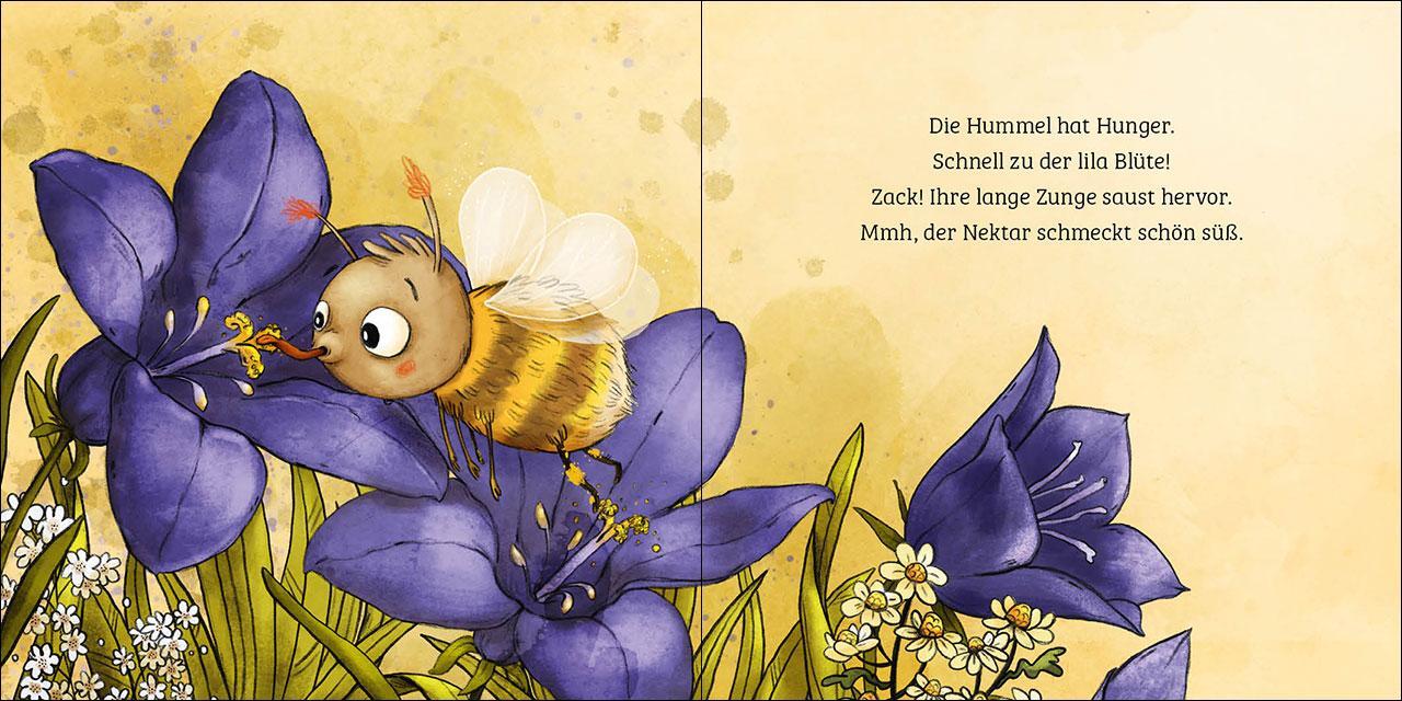 Bild: 9783743213173 | Mein erstes Naturbuch - Die Hummel | Sandra Grimm | Buch | Naturkind