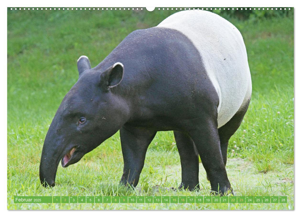 Bild: 9783457140444 | Leben im Dschungel: Der Regenwald ist ein Paradies für Tiere...