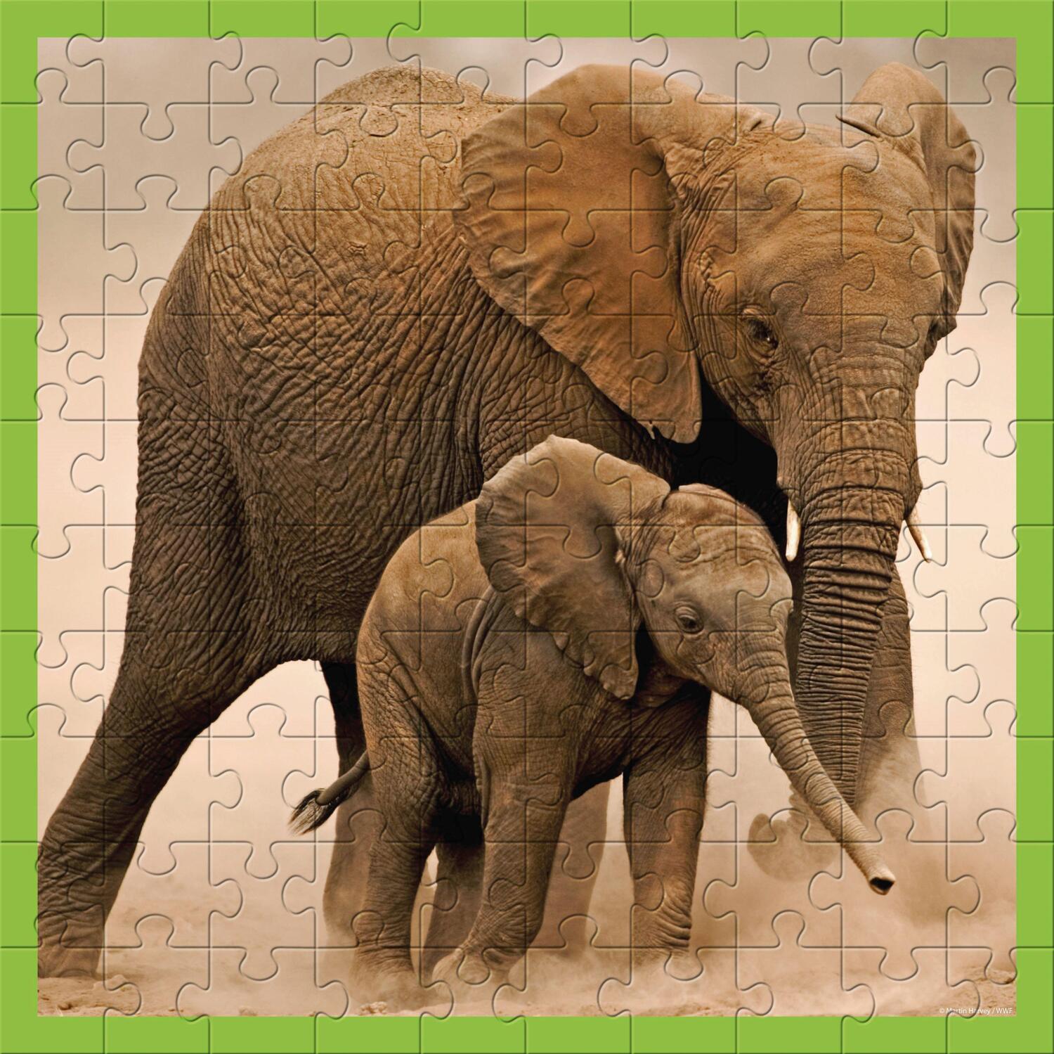 Bild: 4897049302075 | AMBASSADOR - Elefanten 100 Teile | Ambassador | Spiel | Deutsch | 2022