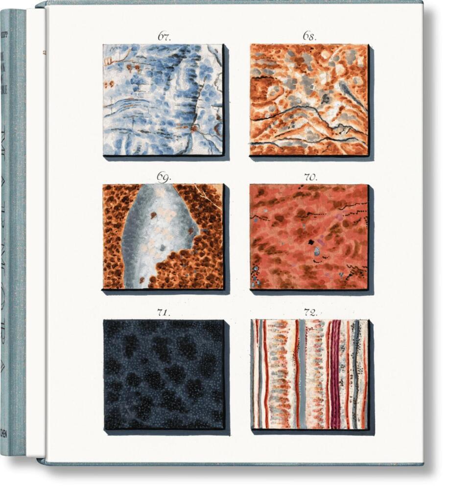 Cover: 9783836584500 | Jan Christiaan Sepp. The Book of Marble | Geert-Jan Koot | Buch | 2023
