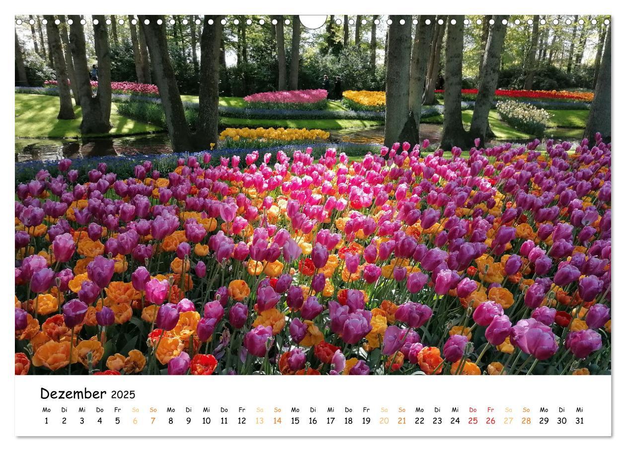 Bild: 9783383924354 | Auf Tour im Land der Tulpen (Wandkalender 2025 DIN A3 quer),...