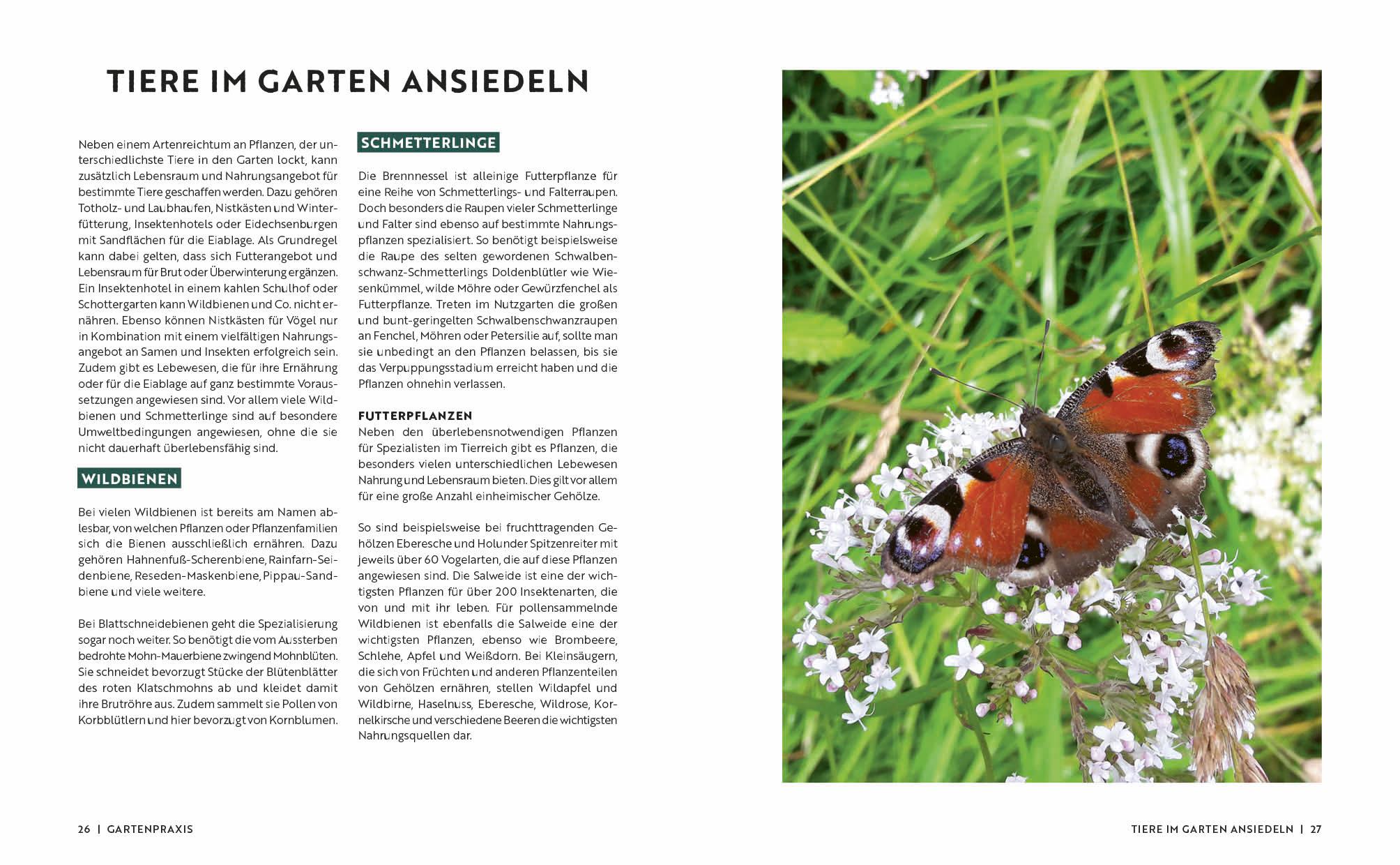 Bild: 9783745925586 | Gartenmomente: Naturnaher Garten | Edition Michael Fischer | Buch