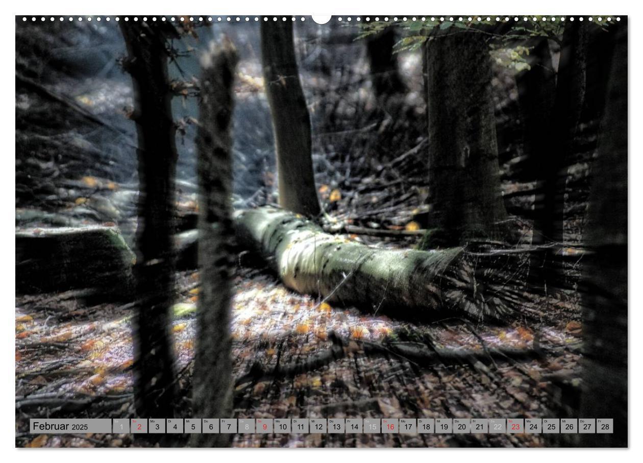 Bild: 9783435520138 | Spaziergang durch den Zauberwald (Wandkalender 2025 DIN A2 quer),...