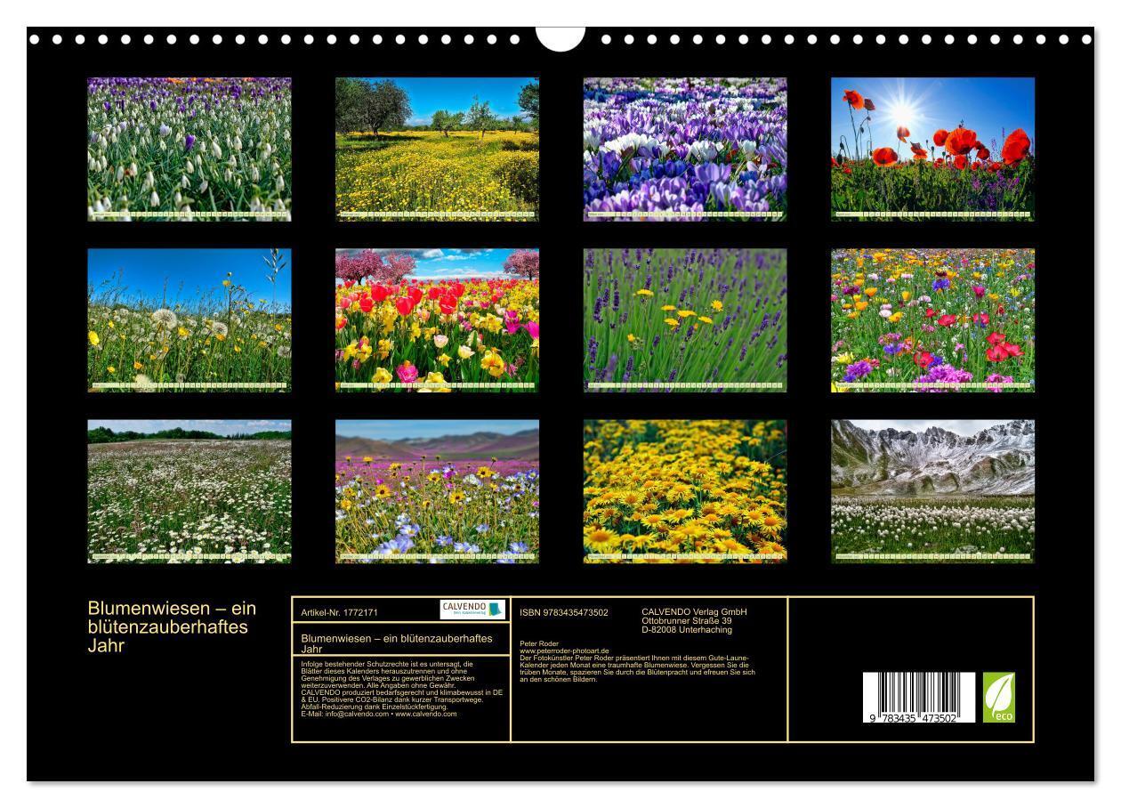 Bild: 9783435473502 | Blumenwiesen ¿ ein blütenzauberhaftes Jahr (Wandkalender 2025 DIN...