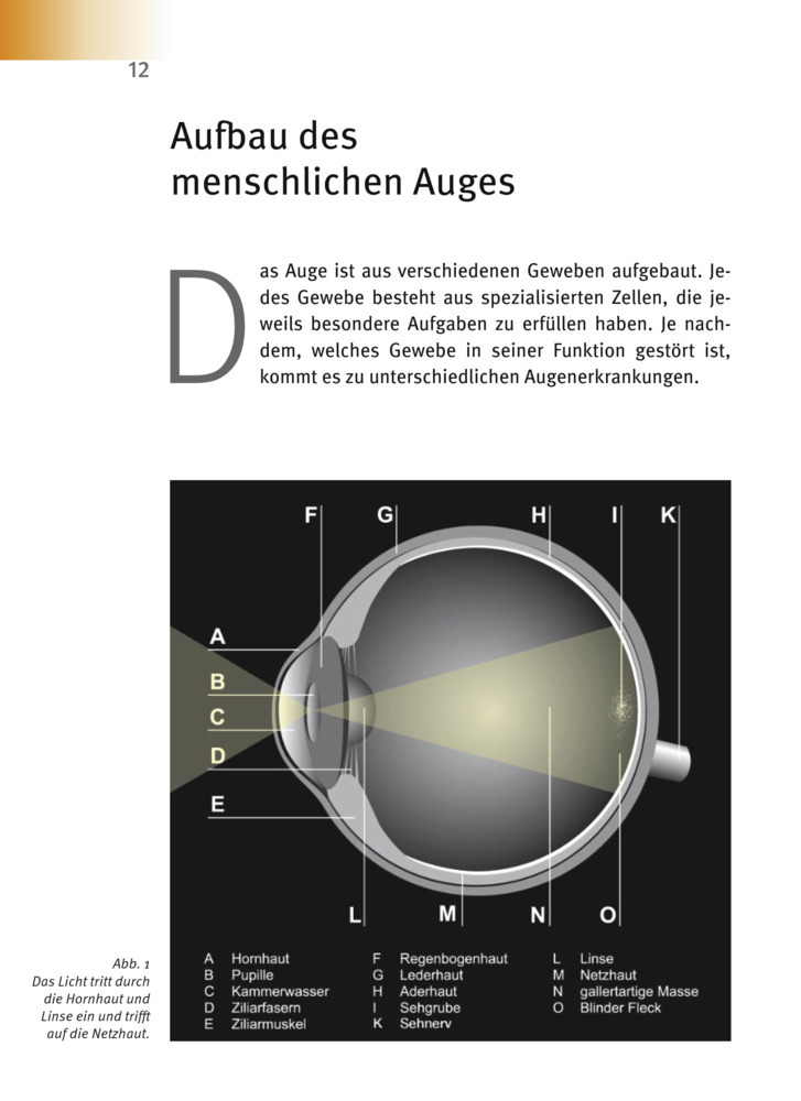 Bild: 9783981252026 | Makula-Degeneration, Diabetische Retinopathie | Andreas Nieswandt