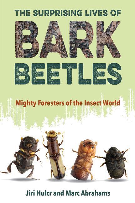 Cover: 9781683402633 | The Surprising Lives of Bark Beetles: Mighty Foresters of the...