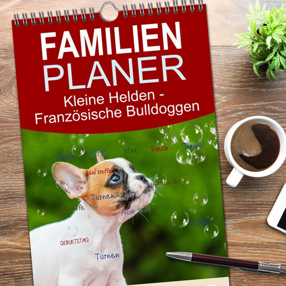 Bild: 9783457191866 | Familienplaner 2025 - Kleine Helden - Französische Bulldoggen mit 5...