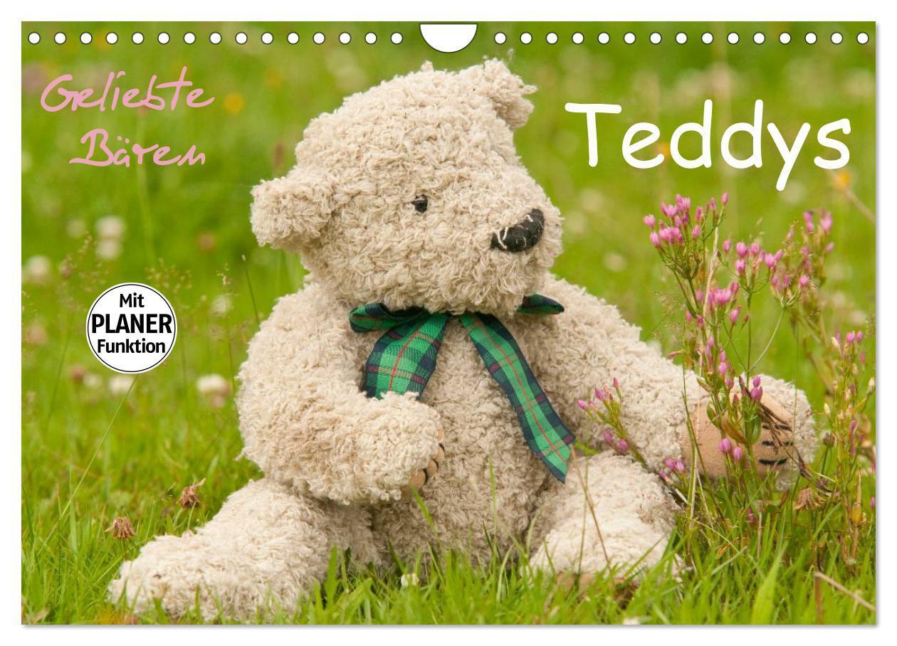 Cover: 9783435508235 | Geliebte Bären - Teddys (Wandkalender 2025 DIN A4 quer), CALVENDO...