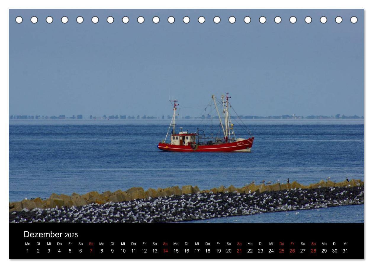 Bild: 9783435762811 | Cuxhaven an der Nordsee (Tischkalender 2025 DIN A5 quer), CALVENDO...