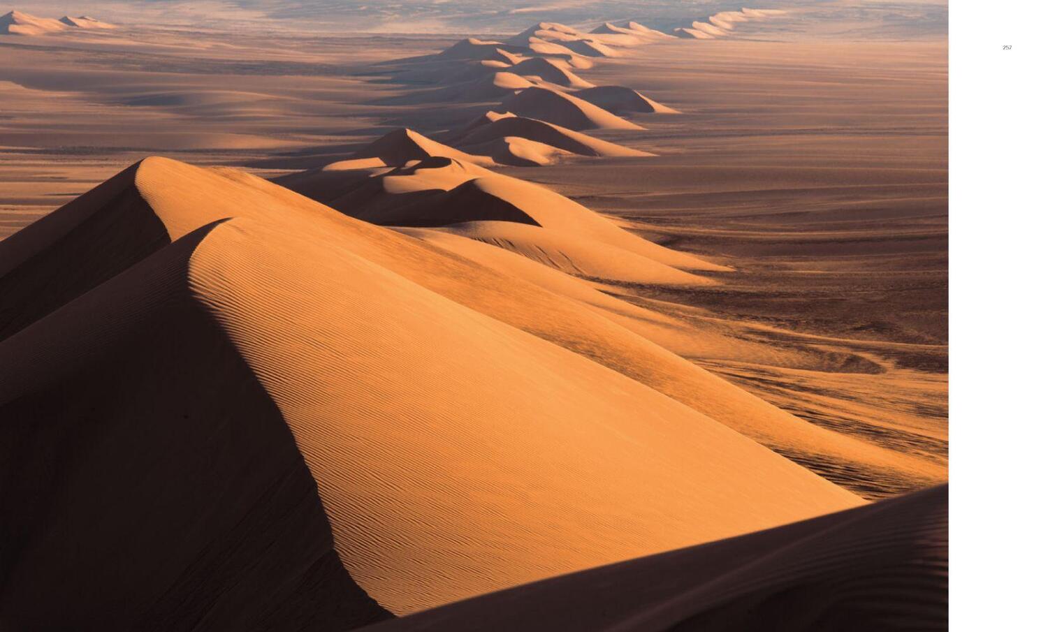 Bild: 9783868737097 | Planet Wüste | Michael Martin | Buch | Gebunden | Deutsch | 2015