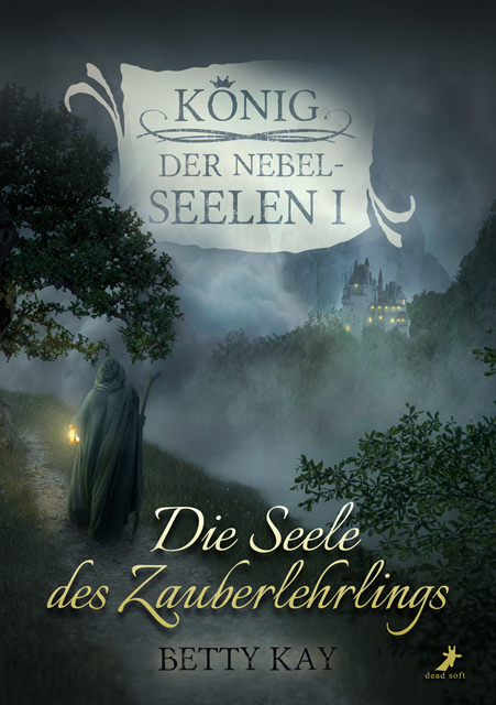 Cover: 9783960895046 | Die Seele des Zauberlehrlings | König der Nebelseelen Band 1 | Kay