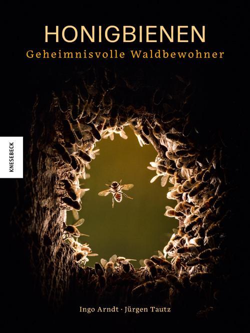 Cover: 9783957283627 | Honigbienen - geheimnisvolle Waldbewohner | Ingo Arndt (u. a.) | Buch