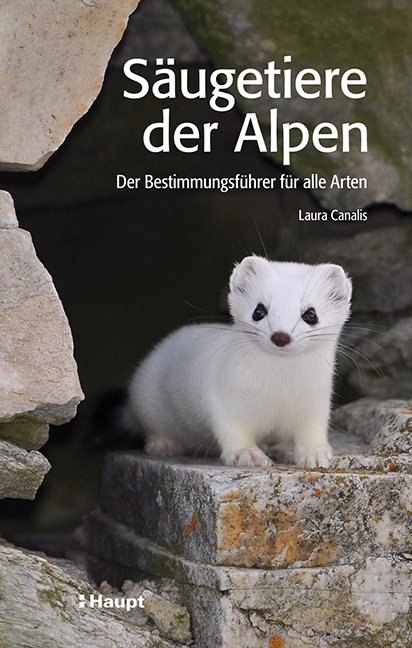 Cover: 9783258077901 | Säugetiere der Alpen | Der Bestimmungsführer für alle Arten | Canalis