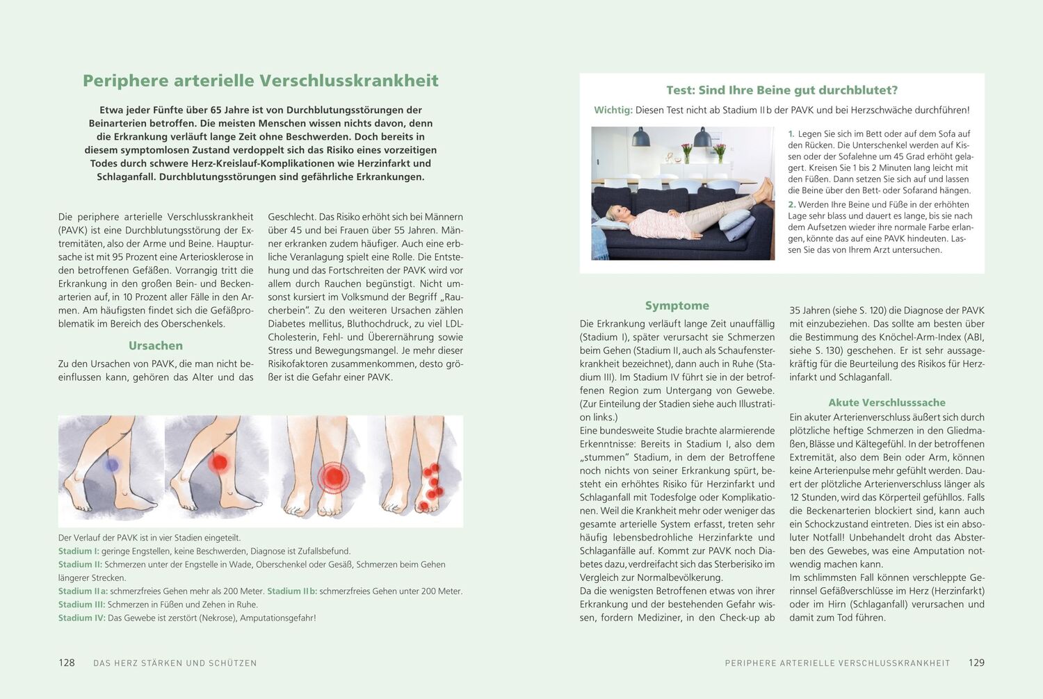 Bild: 9783898836180 | Meine sanfte Medizin für ein starkes Herz | Franziska Rubin | Buch